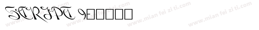 SCRIPT 9字体转换
